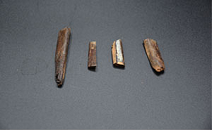 October 2021 Artifact of the Month Thumbnail Image — Seminole Tribal Historic Preservation Office