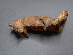 September 2021 Artifact of the Month Thumbnail Image — Seminole Tribal Historic Preservation Office