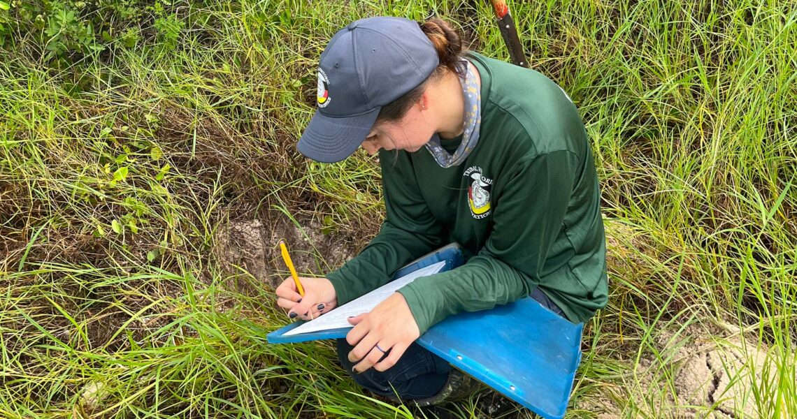 Hillary Writing — Seminole Tribal Historic Preservation Office